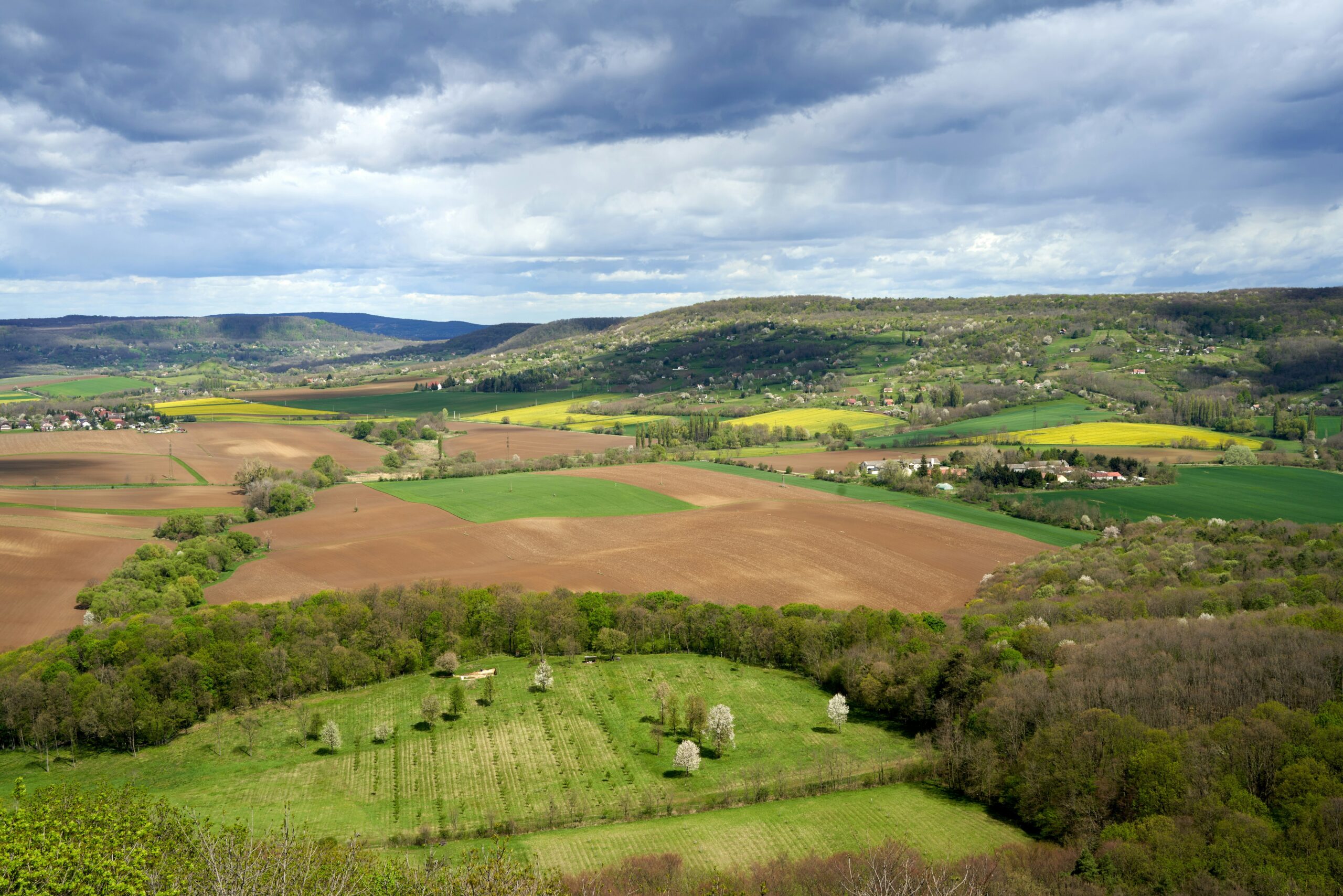 Obrazek wyróżniający Hello World
